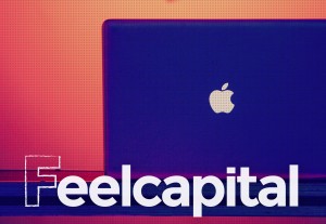 Mi experiencia en Feelcapital