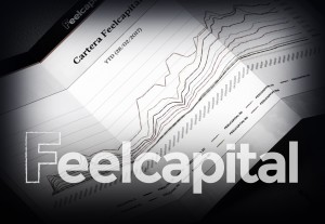 Asesoramiento robótico