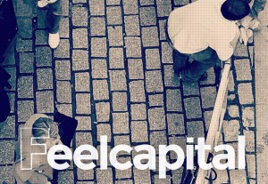 Críticas a los Robo Advisor