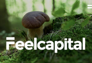 Imagen de portada del post Pensiones y setas