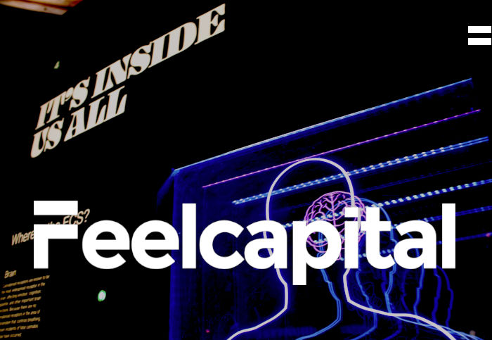 Imagen de portada del artículo El comportamiento humano en finanzas